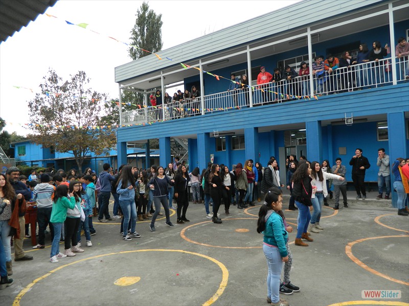 Actividades de los alumnos